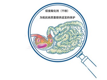 Effects of  SCHAUMACID DRY
